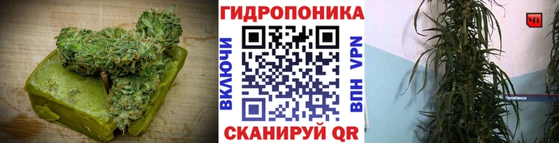 Еда ТГК марихуана  где найти наркотики  Черноголовка 
