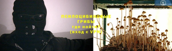 МДПВ Алзамай