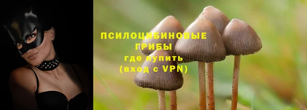 MESCALINE Надым