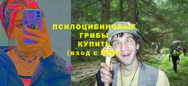 МДПВ Алзамай