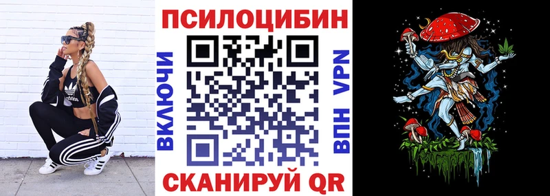 mega ТОР  Черноголовка  Псилоцибиновые грибы Psilocybine cubensis  закладка 